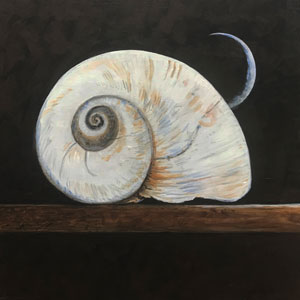 Struna Galleries of Brewster and Chatham, Cape Cod Paintings of New England and Cape Cod  - *Moon Shell